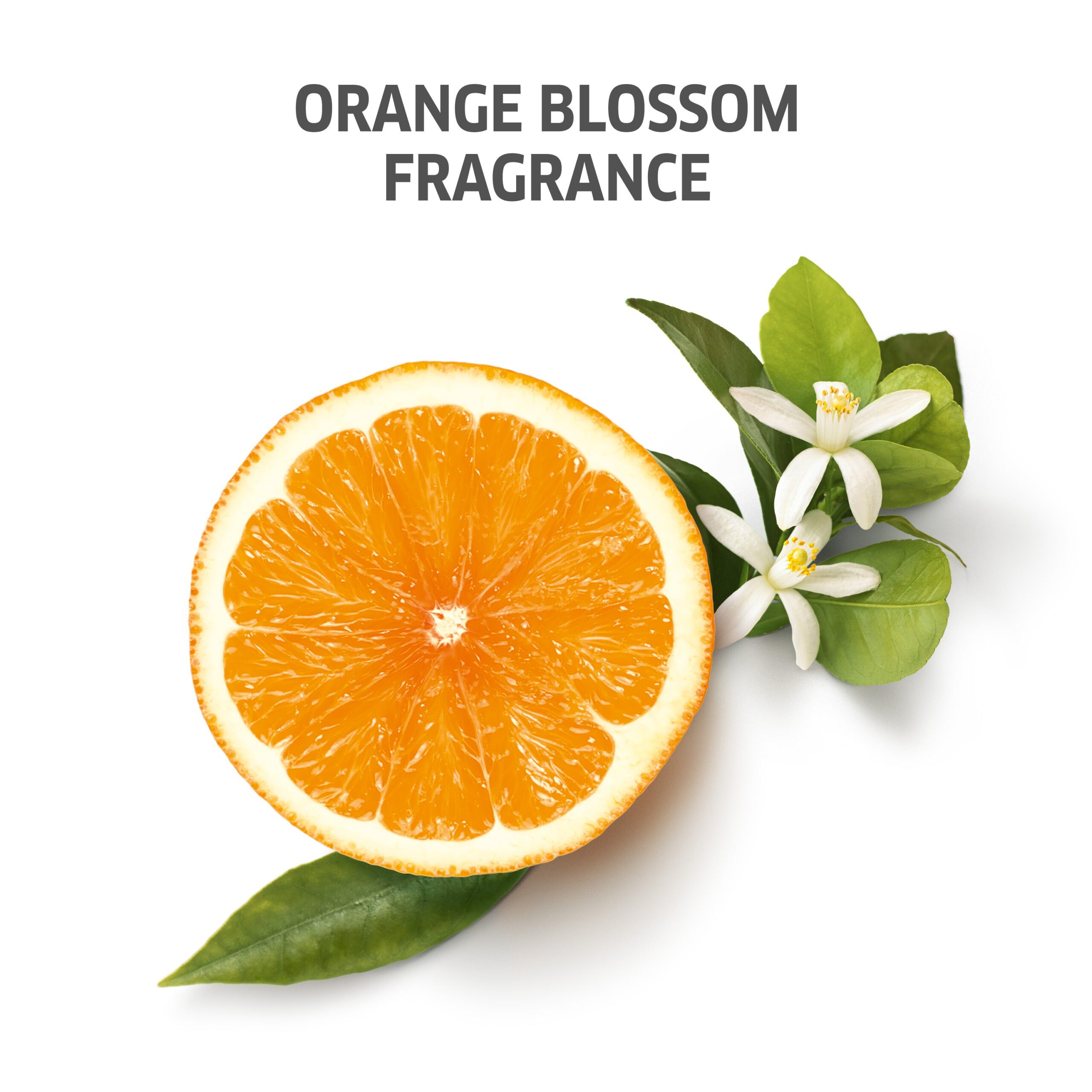 After Sun Cleansing Shampoo - 250ml - Image 7